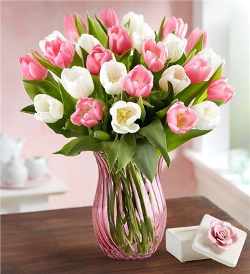 Sweet Spring Tulip Bouquet | 1800Flowers.com
