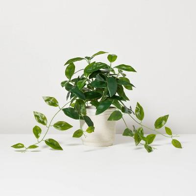 13 Faux Hoya Plant - Hearth & Handâ„¢ With Magnolia : Target