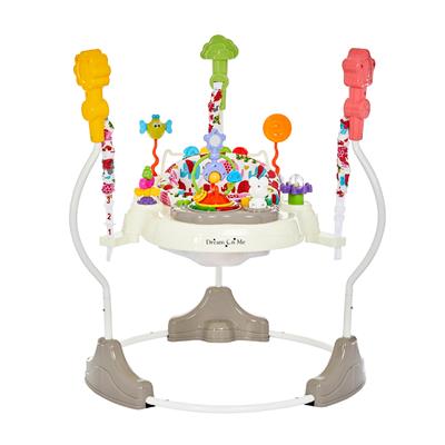 Dream On Me Zany 2-In-1 Activity Center & Bouncer