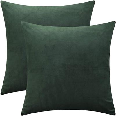 Amazon.com: Rythome Set of 2 Comfortable Throw Pillow Cover for Bedding, Decorative Accent Cushion Sham Case for Couch Sofa, Soft Solid Velvet with Zi