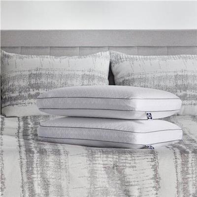 Sealy Essentials Classic Memory Foam Pillows, 2 Pack | Wayfair