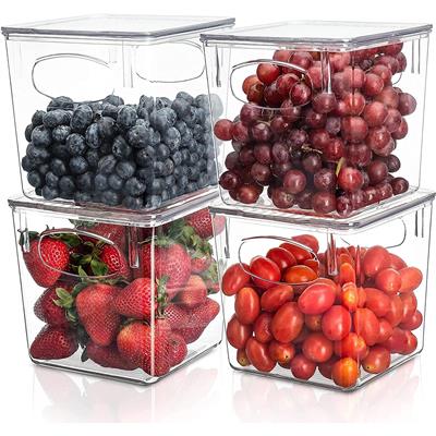 Sorbus Clear Plastic Organizer Storage Bin Containers with Handle and Lid for Pantry Food & Kitchen