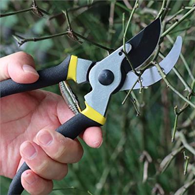 Hand Pruner Professional Pruning Shears Heavy Duty Garden Shears, Clippers for The Garden,Tree Trimmers (Black)