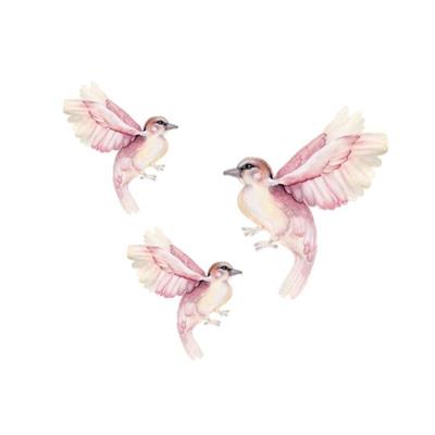 Birdy Wall Decal Set
– Little Rae Prints