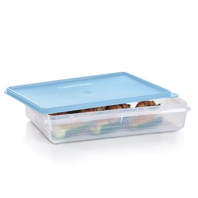 Snack-Stor® Large Container
 – Tupperware CA