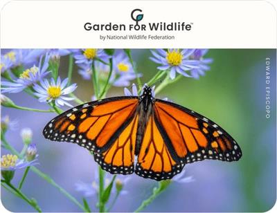 Buy a Native Plants Gift Card Today | Garden for Wildlife