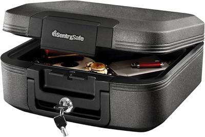 Amazon.com: SentrySafe Dark Gray Fireproof and Waterproof Safe with Key Lock, Chest Lock Box with Carrying Handle for Travel, 0.28 Cubic Feet, 6.6 x 1