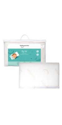 Buy Babyworks Toddler Pillow with Bamboo Pillow Case at Well.ca | Free Shipping $35+ in Canada
