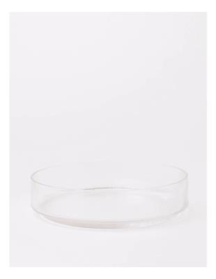 Vue Ribbed Glass Salad Bowl in Clear | MYER