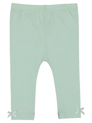 Plain Leggings - Bottoms | PEP