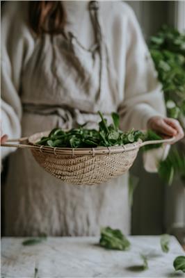 Spinach seeds - Giant Winter - buy seeds online – Florea Garden