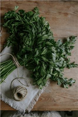 Parsley seeds - Gigante d Italia - Buy seeds online – Florea Garden