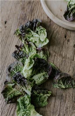 Lettuce seeds - Amerikanischer Brauner - Buy seeds online – Florea Garden