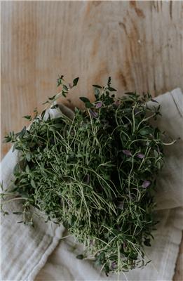 Thyme seeds ECO - Buy seeds online – Florea Garden
