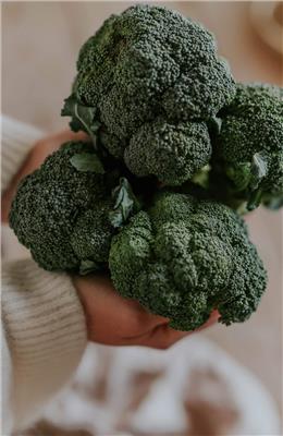 Seeds Broccoli Organic - Calabrese Natalino - buy seeds online – Florea Garden