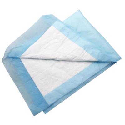 Buy Livingstone Incontinence Bluey Underpads 5-Ply, 250Pieces online at Chemist Warehouse