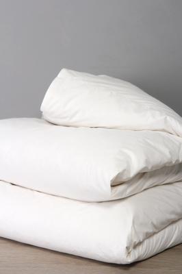 Premium Feather And Down Cotton Duvet Inner | Mr Price Home