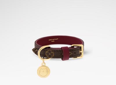 Pet Collar XS S00  | LOUIS VUITTON ®