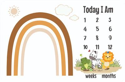Baby Things Milestone Blankets Rainbow