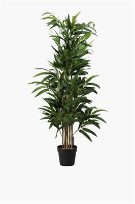 Bamboo Tree Medium | Mr Price Home