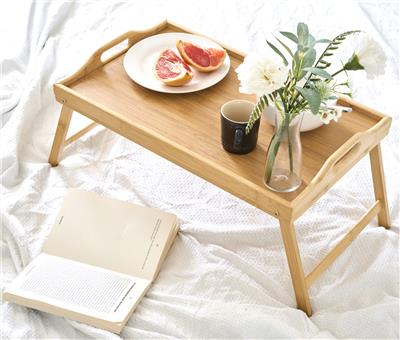Lark Manor Esquivel Laptop Tray | Wayfair.co.uk