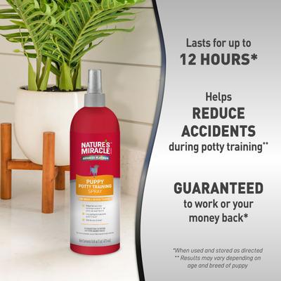 NATURES MIRACLE House-Breaking Potty Training Spray, 16-oz bottle - Chewy.com