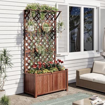 Amazon.com : AMERLIFE 2 Pack Raised Garden Bed with Trellis for Vegetables, Climbing Plants, Durable Natural Wood Planter Box with Drainage Holes, Pri