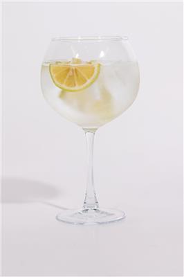 Gin Glasses
