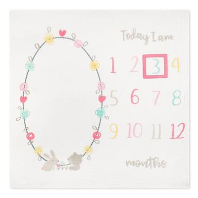 Gerber Organic Milestone Blanket, Hearts - Walmart.ca