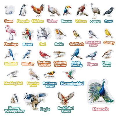 CHEFAN Felt Birds Felt Board Pieces, Precut Flannel Board Pieces with Words Flannel Pieces, Felt Figures Sets Flannel Graph Educational Learning Toys