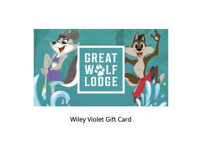 Great Wolf Lodge Gift Card