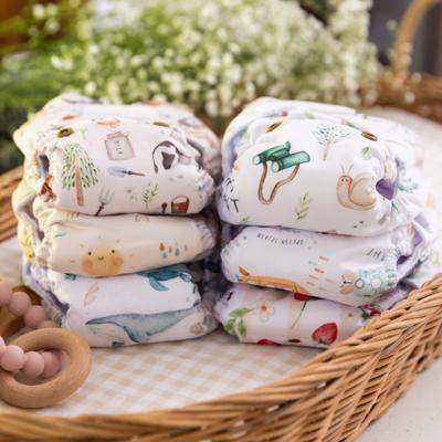 Essential 6 Pack Newborn Cloth Nappies - A Comfort Bonanza for Tiny Tots