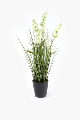 Flowering Grass Potted, 50cm | Mr Price Home