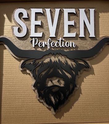 Western Themed Sign, Bull Horn Baby Name Sign, Western Nursery Decor, Longhorn Name Sign, Bull Horn Child Name Sign, Rodeo Baby Sign - Etsy UK