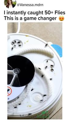 BuzzFree – Ensures peaceful environments by eliminating flies quietly [Vidéo] [Vidéo] | Piege a mouche, Usb, Produits chimiques