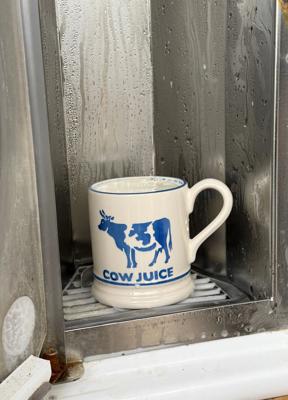 Diddly Squat Farm: Cow Juice 1/2 Pint Mug – Emma Bridgewater UK