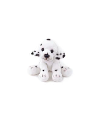 Daisy Junior Dalmatian Small – Kidstuff