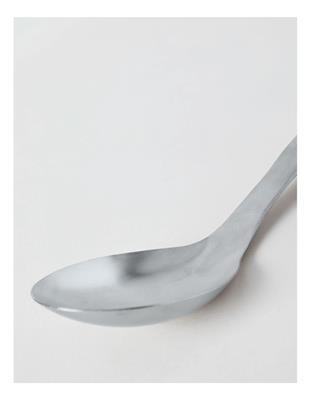 The Cooks Collective One Rice Spoon in Stainless Steel | MYER