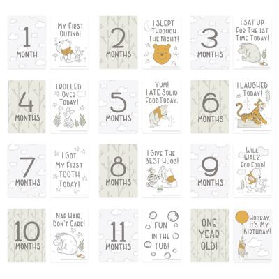 Disney Milestone Cards Winnies Woodland | Baby Bunting AU