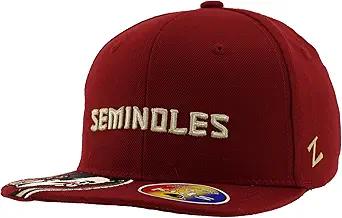 Amazon.com : Florida State Seminoles NCAA Cap