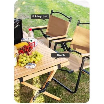 Lawn Chair Ultralight Folding Camping Chair, Directors Chair pack of 2 | Shop Today. Get it Tomorrow! | takealot.com