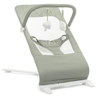 Amazon.com : Baby Delight Alpine Deluxe Portable Baby Bouncer | Infant | 0-6 Months | 100% GOTS Certified Organic Cotton Fabric | Organic Mocha : Baby