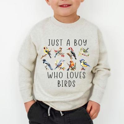 Just a Boy Who Loves Birds Sweatshirt | Bird Watcher Toddler Crewneck | Birding Kid Gift - Etsy