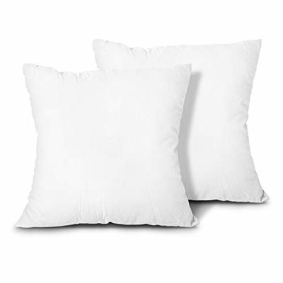 EDOW Throw Pillow Inserts, Set of 2 Lightweight Down Alternative Polyester Pillow, Couch Cushion, Sham Stuffer, Machine Washable. (White, 24x24)
