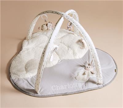 Skip Hop x pbk Baby Activity Gym | Pottery Barn Kids