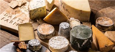 Darts Farm - Artisan Cheese Subscription
