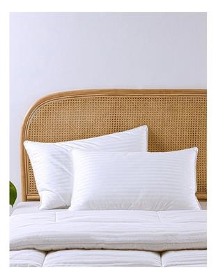 Dreamaker Cotton Sateen Cover Microfibre Pillow Standard 2 Pack in White | MYER