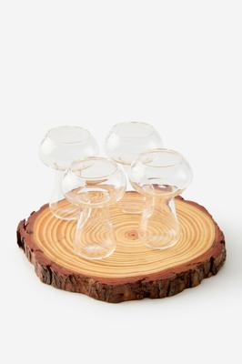 Woodland Mushroom Shotglass Set
