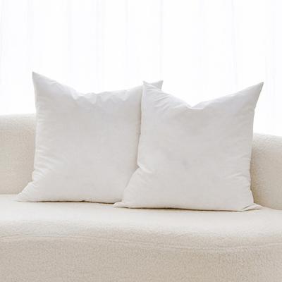 Aldrin Home Avery Duck Feather Square Cushion Inserts | Temple & Webster