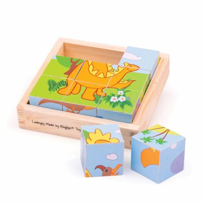 Big Jigs Dinosaur Cube Puzzle